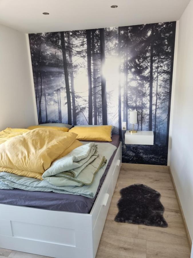 Ferienhaus Diemelaue Mit Klimaanlage 巴特卡尔斯哈芬 外观 照片