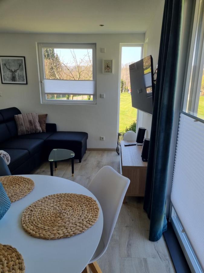 Ferienhaus Diemelaue Mit Klimaanlage 巴特卡尔斯哈芬 外观 照片