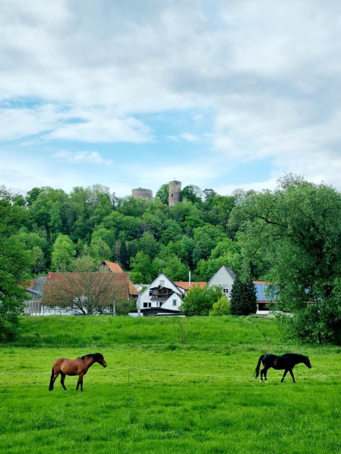 Ferienhaus Diemelaue Mit Klimaanlage 巴特卡尔斯哈芬 外观 照片